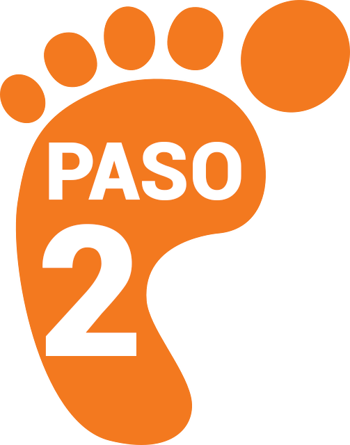PASO2
