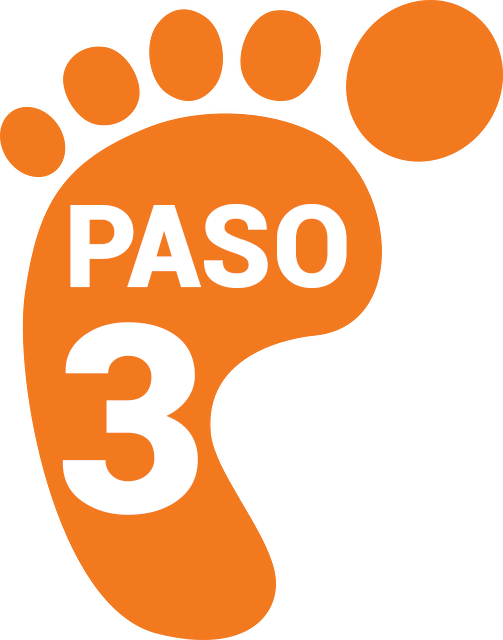 PASO3