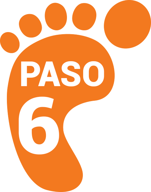 PASO6